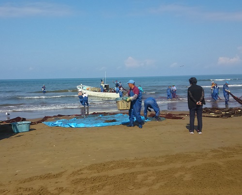 千里浜なぎさドライブウェイ