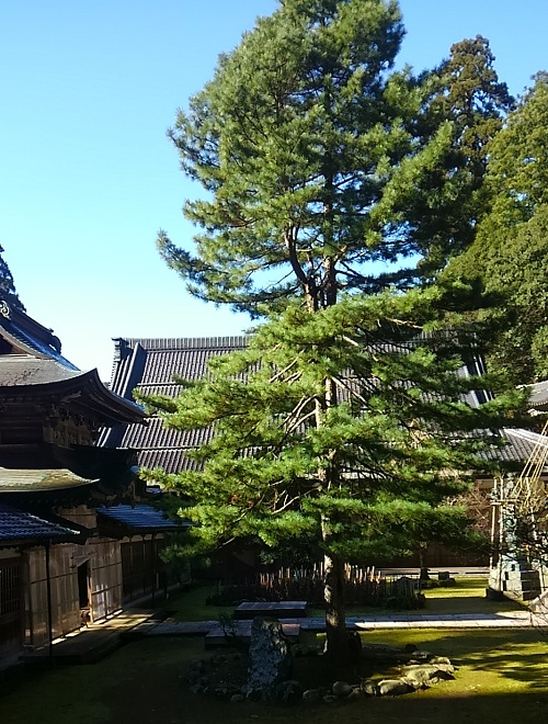 永平寺