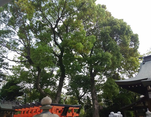 仲村神社