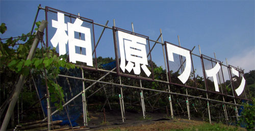�������E�؂蕶�� �{�s��1