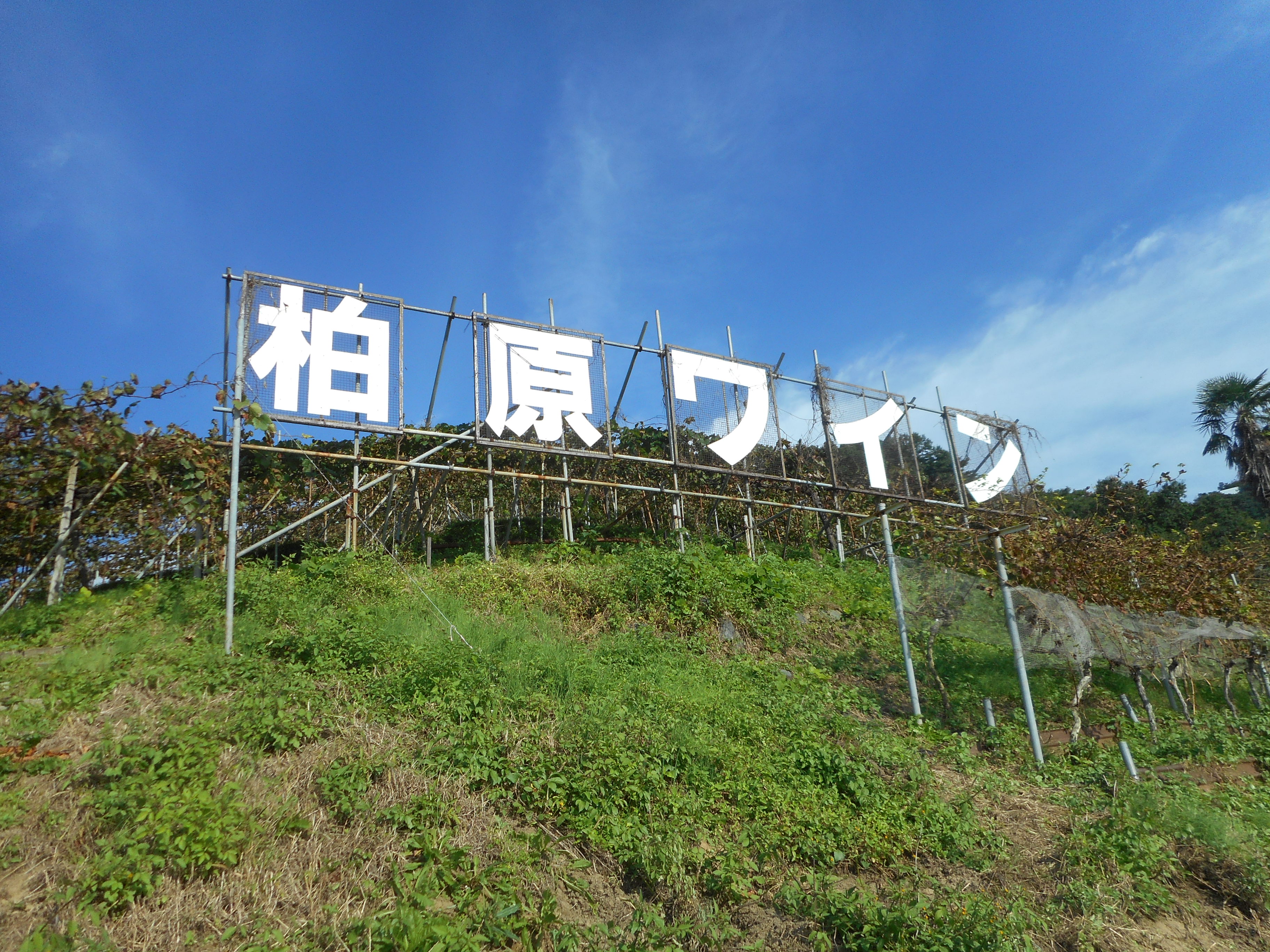 箱文字・切文字・カルプ文字