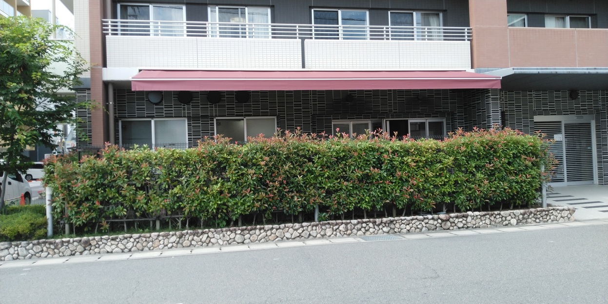医療関連看板・テント